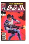 Punisher Limited Series #5