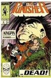 Punisher #16