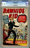 Rawhide Kid #17