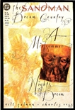 Sandman #19