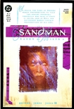 Sandman #22
