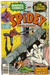 Spidey Super Stories #37