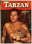 Tarzan #22
