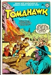 Tomahawk #22
