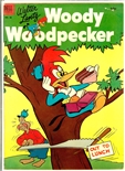 Woody Woodpecker #18
