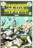 Weird Mystery Tales #10